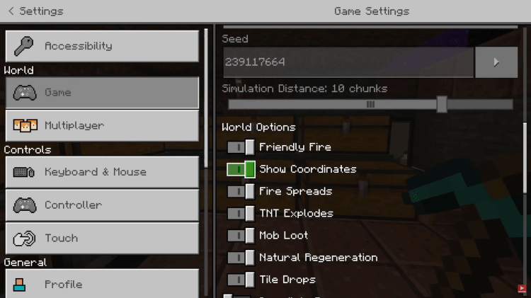 Coordinates toggle in the options screen.