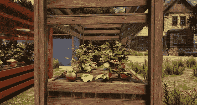 mature plant 7 days to die