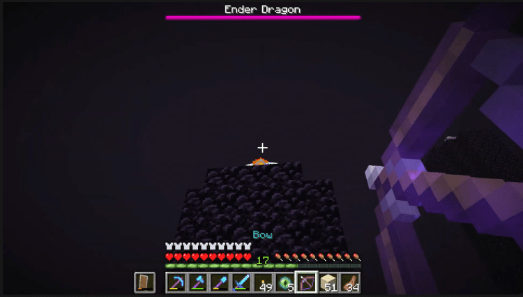 How To Beat The ENDER DRAGON EASY!