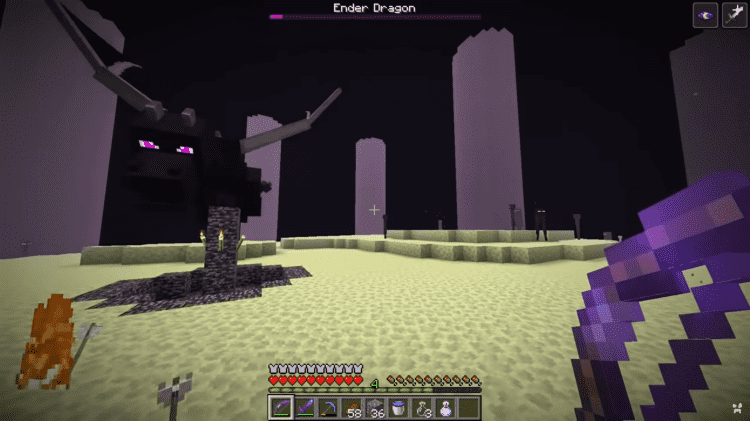 The Ender Dragon