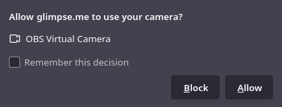 browser permission virtual camera