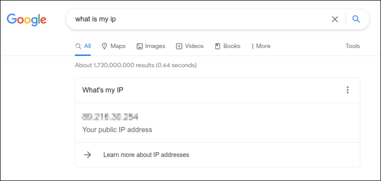 google what is my ip