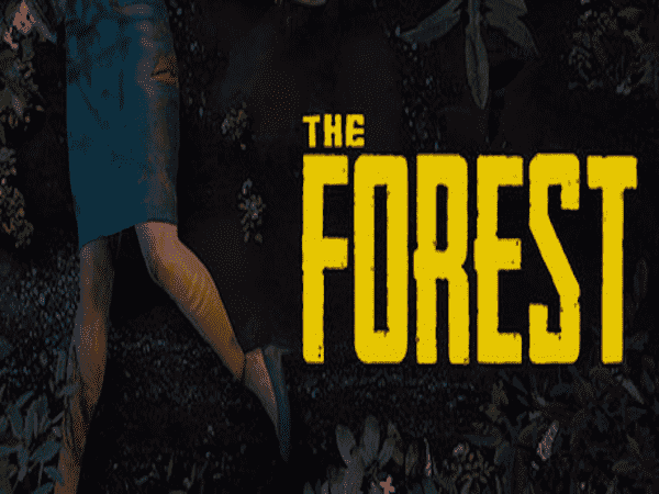 the forest cover art